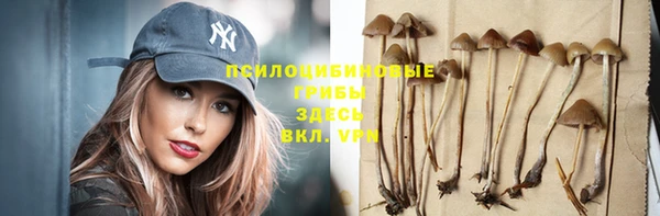 спайс Нея