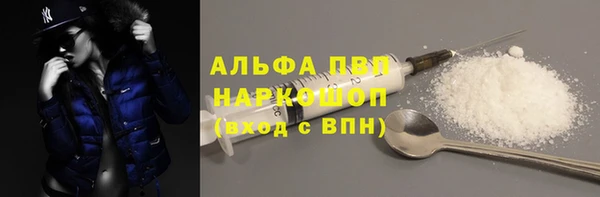 дмт Новодвинск