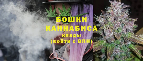 спайс Нея