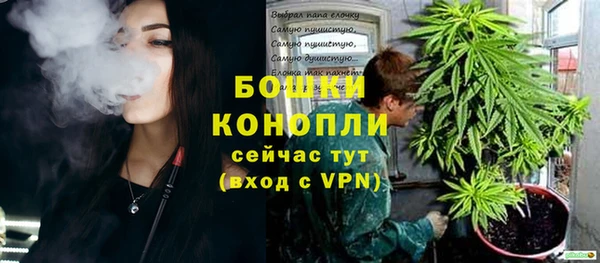 спайс Нея