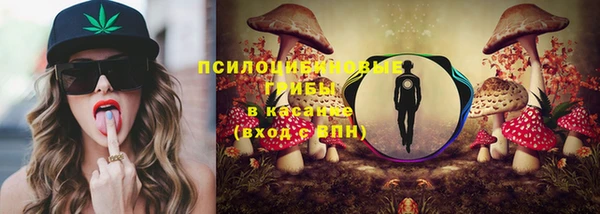 спайс Нея