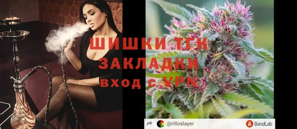дмт Новодвинск